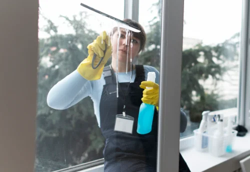 Nettoyage de vitres intérieures et extérieures à Pluvet